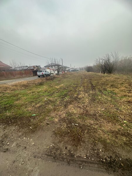 Comuna Berceni, strada Infratirii